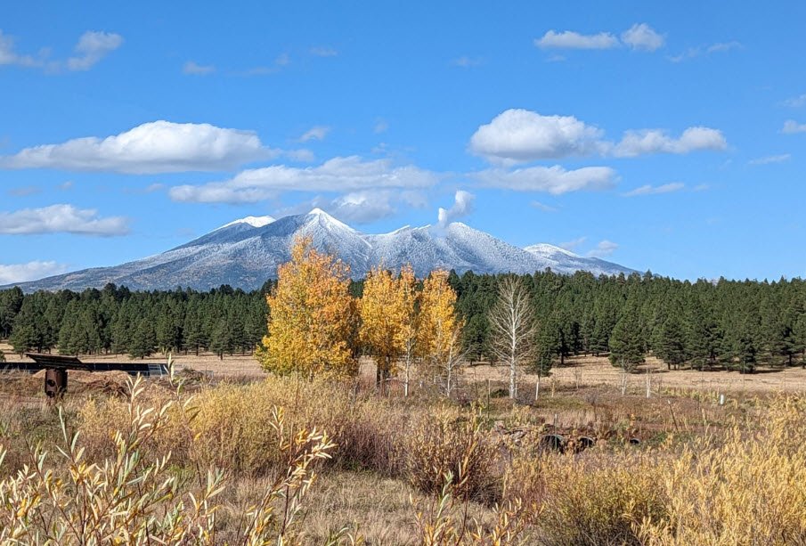 The Arboretum at Flagstaff, United States